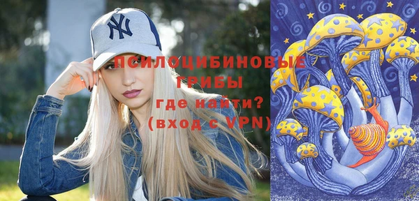 MESCALINE Аркадак